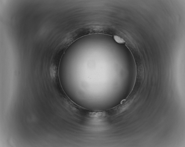 X0000116630135200912111224