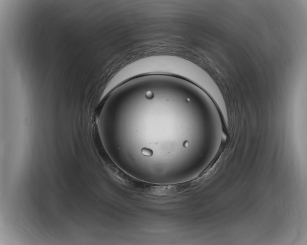 X0000116630136200912111224