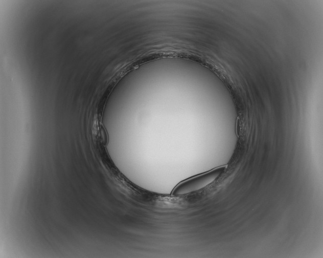 X0000116630137200912111224