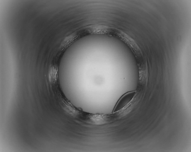 X0000116630142200912111224