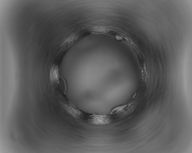 X0000116630143200912111224