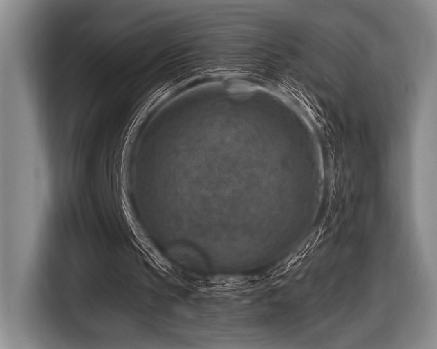 X0000116630145200912111224