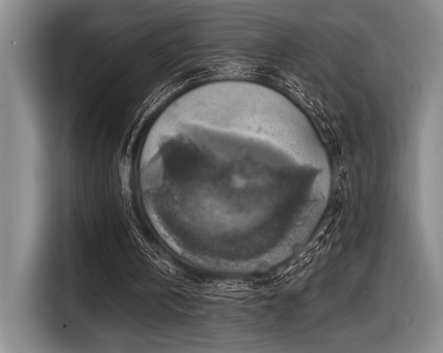 X0000116630146200912111224