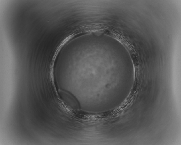 X0000116630147200912111224