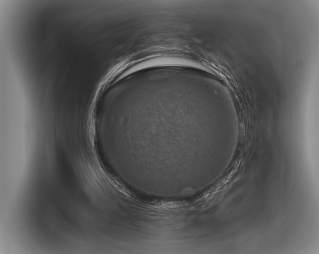 X0000116630149200912111224