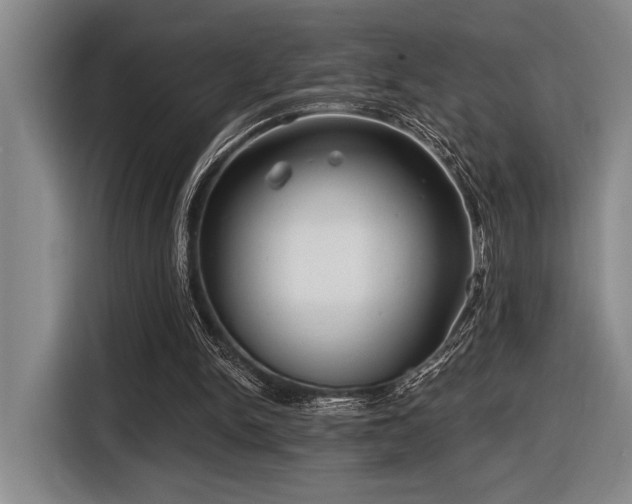 X0000116630150200912111224