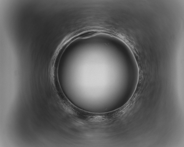 X0000116630151200912111224