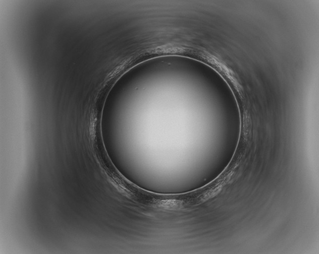 X0000116630153200912111224