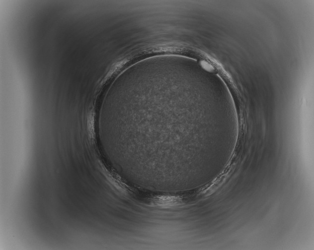 X0000116630154200912111224