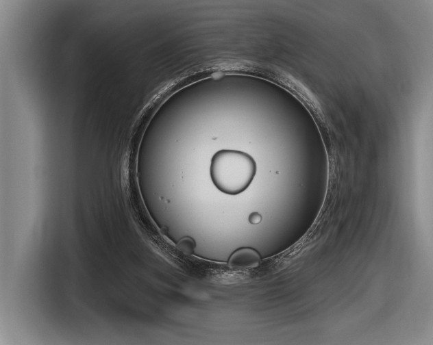 X0000116630155200912111224