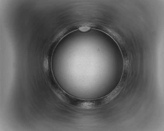 X0000116630158200912111224