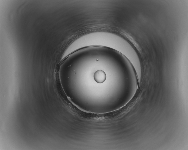 X0000116630161200912111224