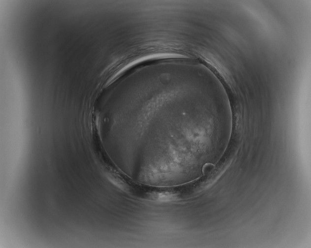 X0000116630165200912111224