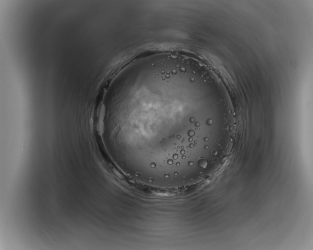 X0000116630167200912111224