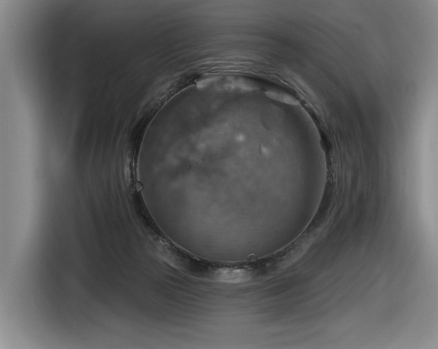 X0000116630169200912111224