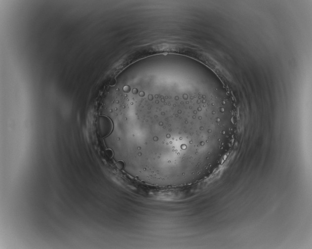 X0000116630171200912111224