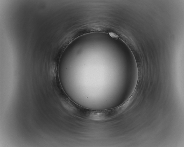 X0000116630174200912111224