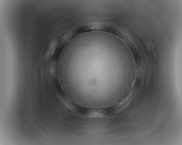 X0000116630175200912111224