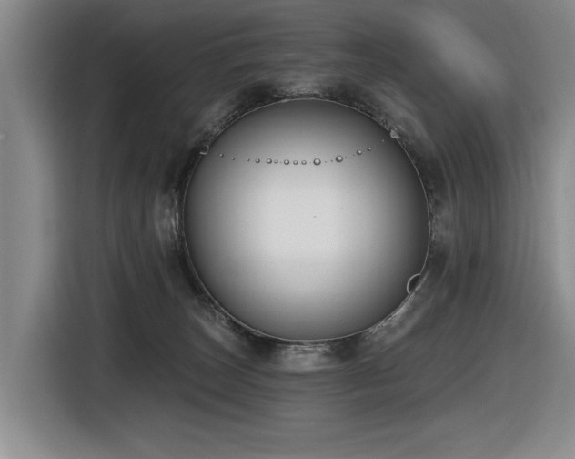 X0000116630179200912111224