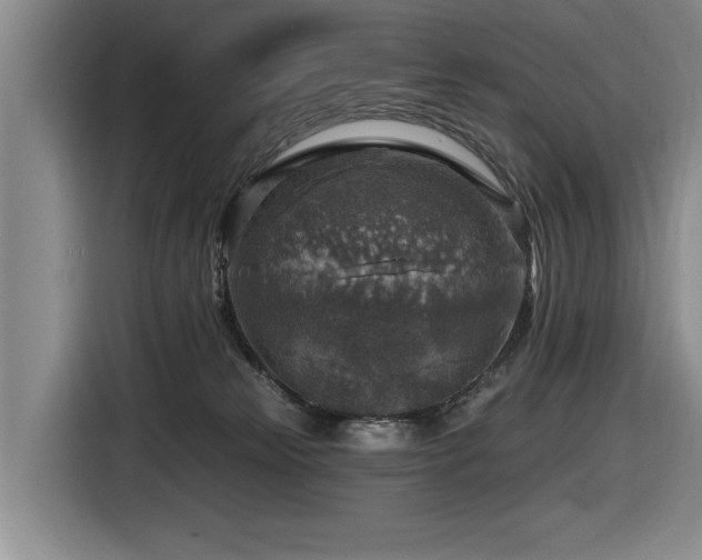 X0000116630181200912111224