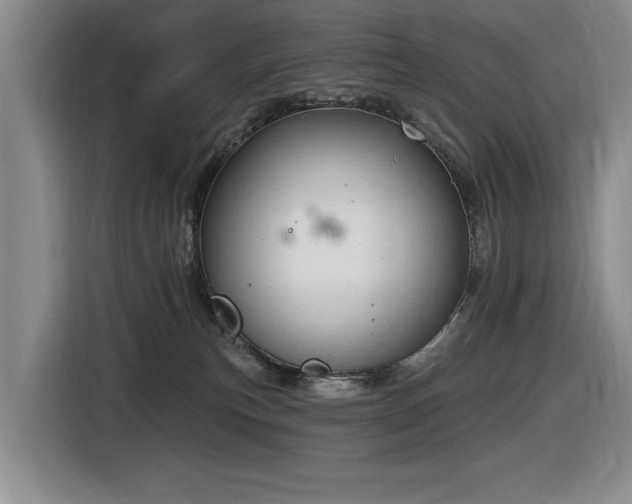 X0000116630183200912111224