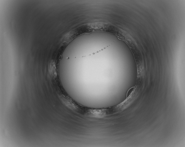 X0000116630187200912111224