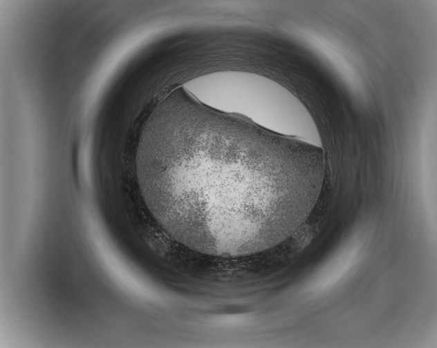 X0000116630189200912111224