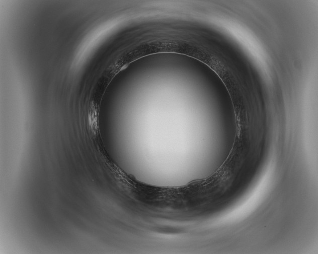 X0000116630190200912111224