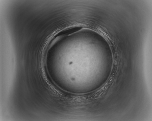 X0000116630193200912111224