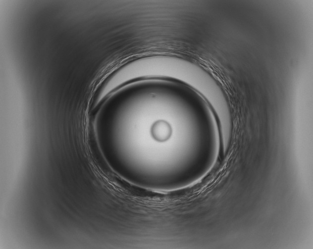 X0000116630194200912111224