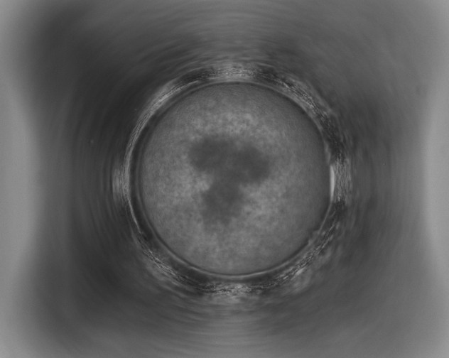 X0000116630195200912111224