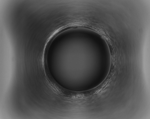 X0000116630196200912111223