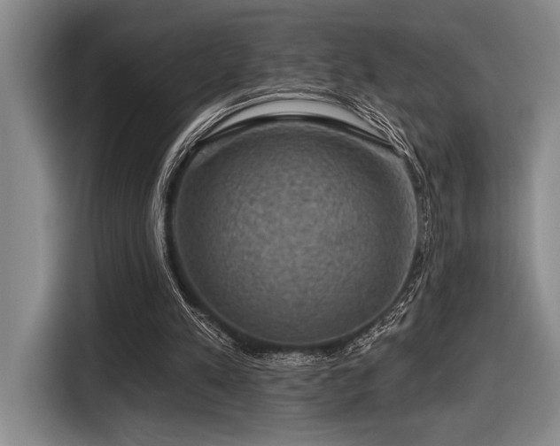 X0000116630197200912111223