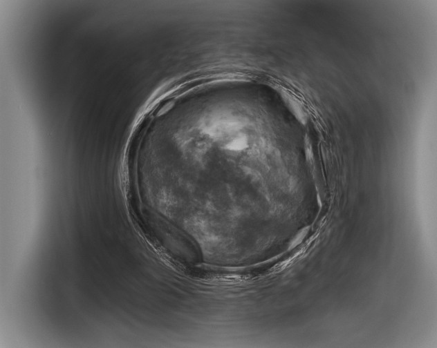 X0000116630198200912111223