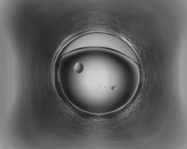 X0000116630199200912111223