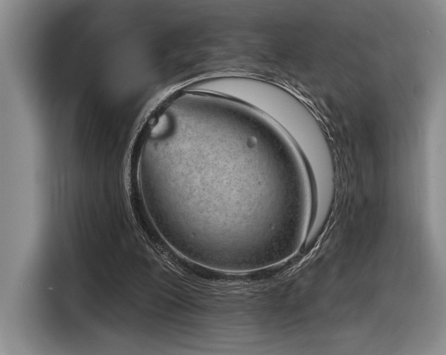 X0000116630200200912111223