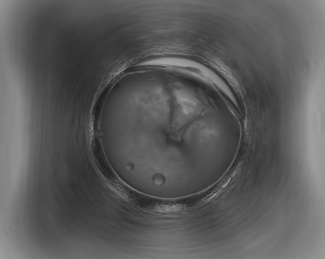 X0000116630202200912111223