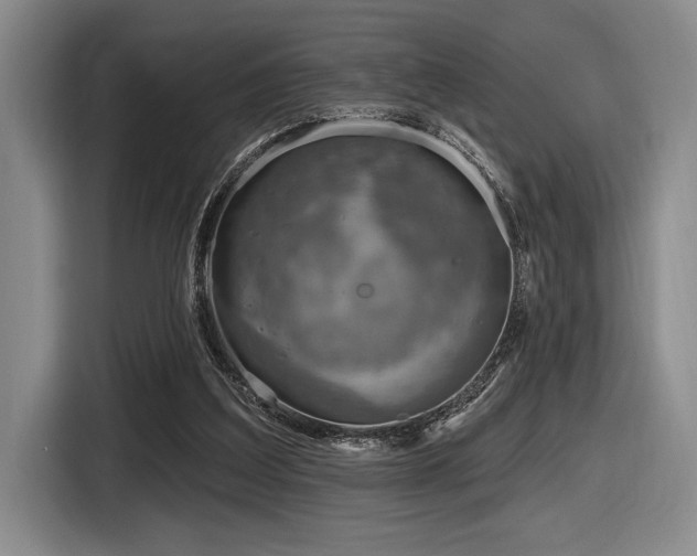 X0000116630203200912111223