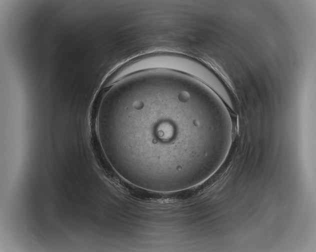 X0000116630204200912111223