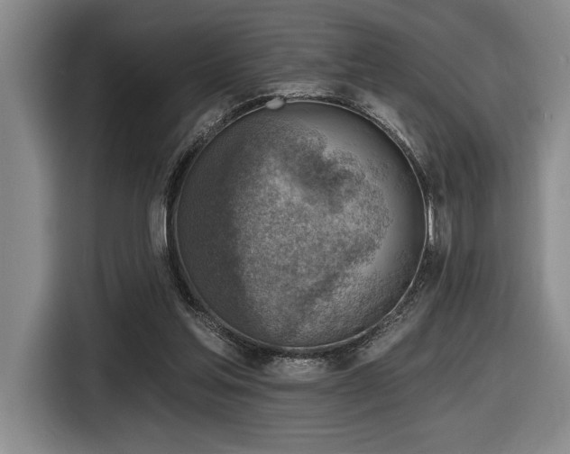 X0000116630205200912111223