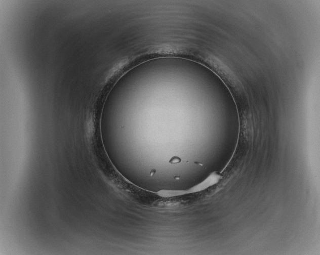 X0000116630208200912111223