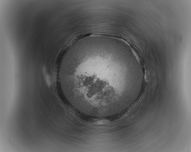 X0000116630210200912111223