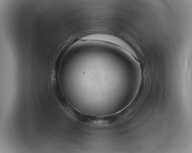 X0000116630212200912111223