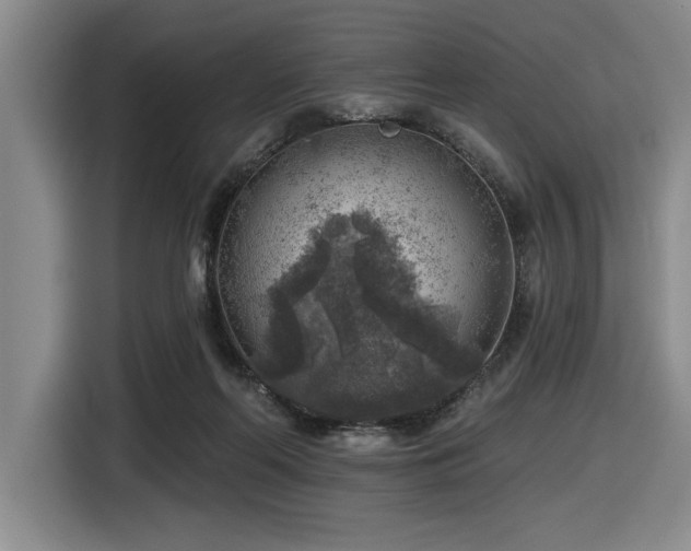 X0000116630214200912111223