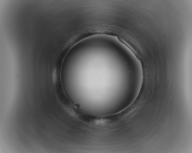 X0000116630216200912111223