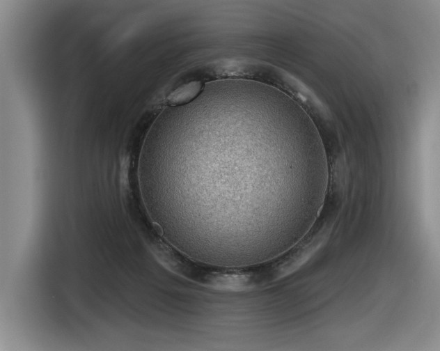 X0000116630217200912111223