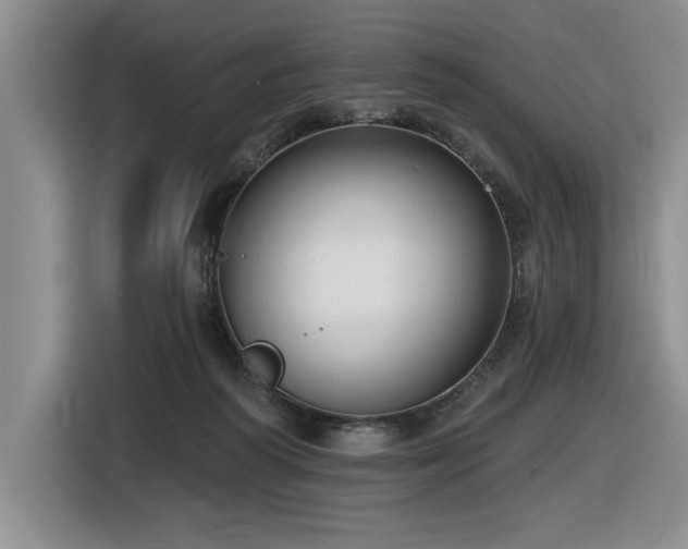 X0000116630218200912111223