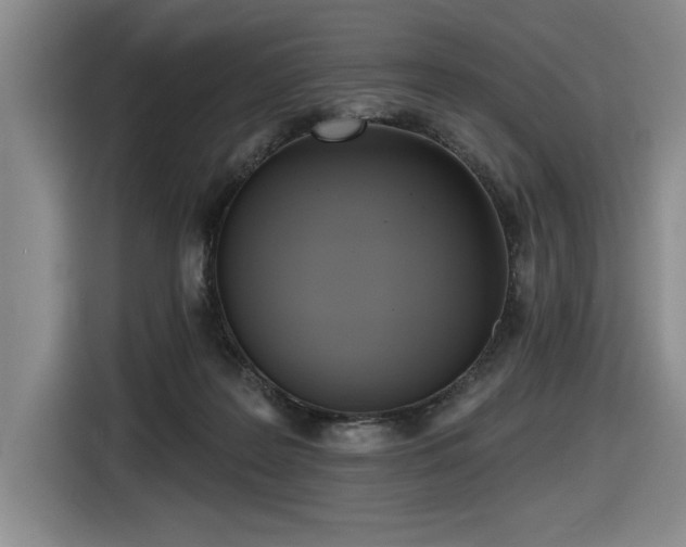 X0000116630219200912111223