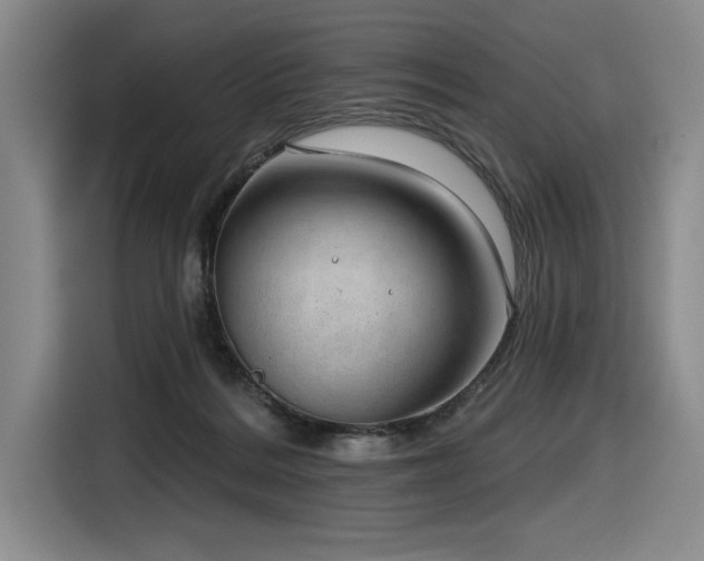 X0000116630220200912111223