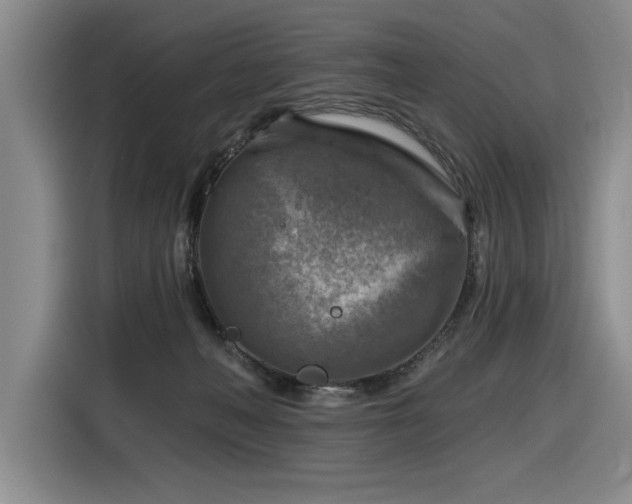 X0000116630222200912111223